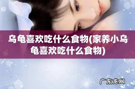 家养小乌龟喜欢吃什么食物 乌龟喜欢吃什么食物