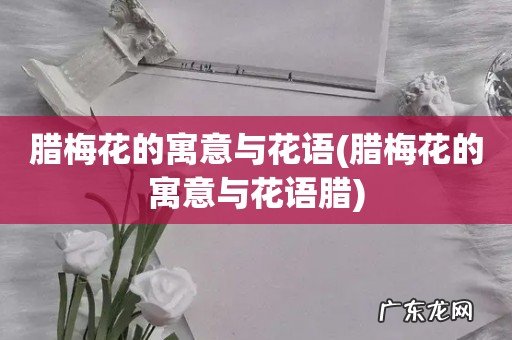 腊梅花的寓意与花语腊 腊梅花的寓意与花语