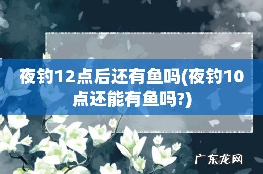 夜钓10点还能有鱼吗? 夜钓12点后还有鱼吗