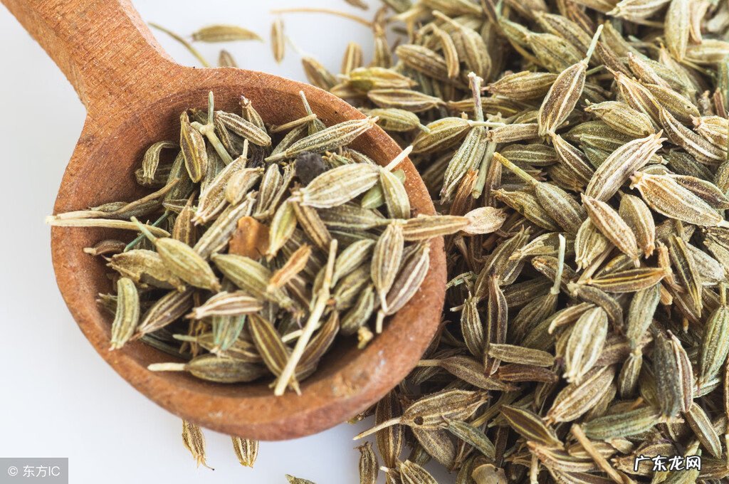 炖肉怎样炖好吃家常做法 炖肉的做法大全