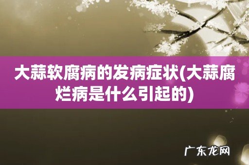 大蒜腐烂病是什么引起的 大蒜软腐病的发病症状