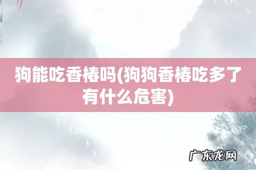 狗狗香椿吃多了有什么危害 狗能吃香椿吗