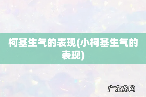 小柯基生气的表现 柯基生气的表现