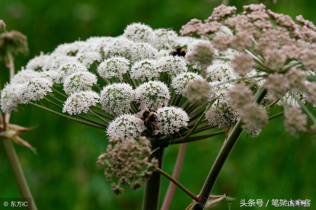 说话嘴毒的人命运不好 嘴巴最毒的人