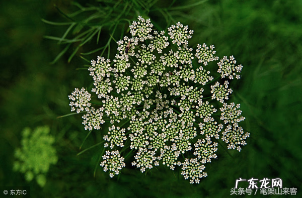 说话嘴毒的人命运不好 嘴巴最毒的人