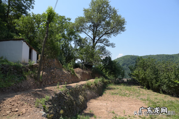 农村大叔 农村风水大叔