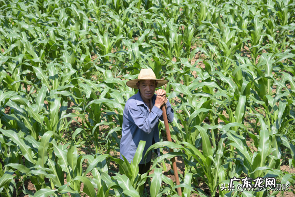 农村大叔 农村风水大叔