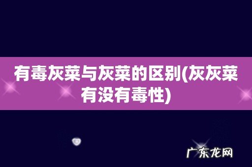 灰灰菜有没有毒性 有毒灰菜与灰菜的区别