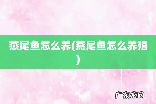 燕尾鱼怎么养殖 燕尾鱼怎么养