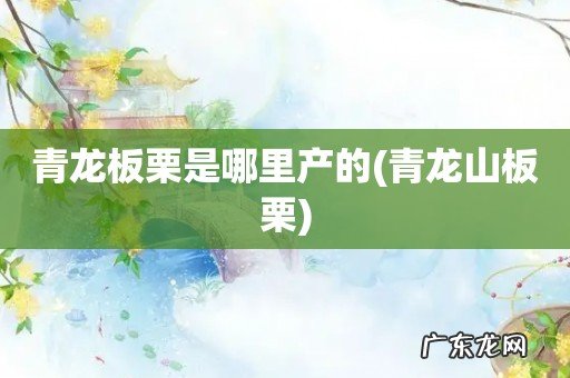青龙山板栗 青龙板栗是哪里产的
