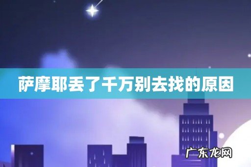 萨摩耶丢了千万别去找的原因