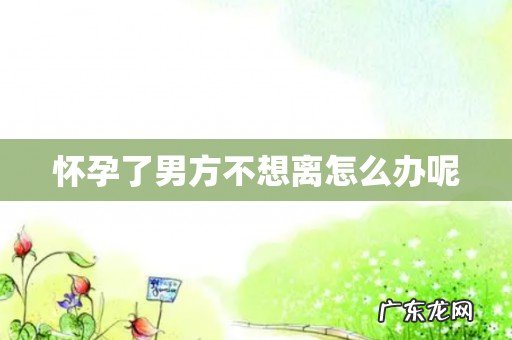 怀孕了男方不想离怎么办呢