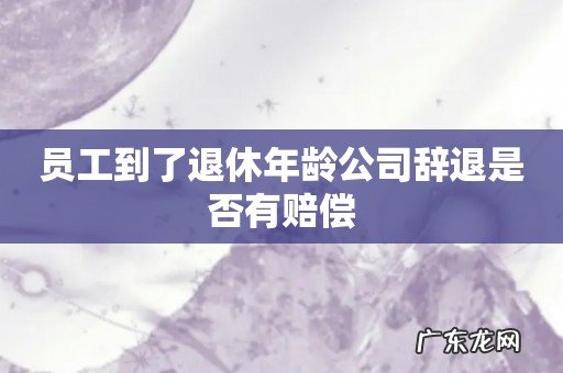 员工到了退休年龄公司辞退是否有赔偿