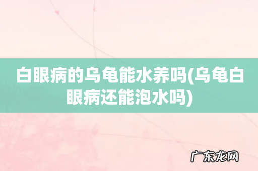乌龟白眼病还能泡水吗 白眼病的乌龟能水养吗