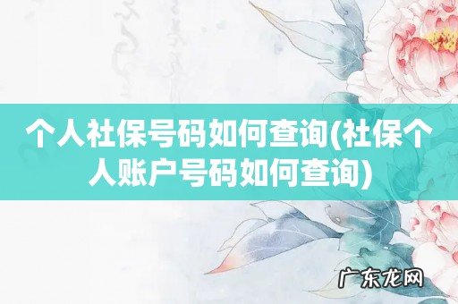 社保个人账户号码如何查询 个人社保号码如何查询