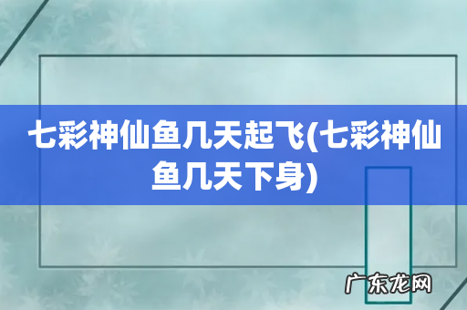 七彩神仙鱼几天下身 七彩神仙鱼几天起飞