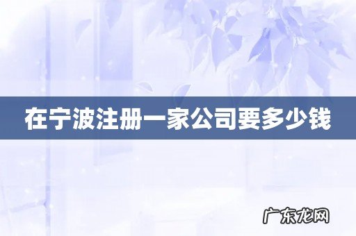 在宁波注册一家公司要多少钱