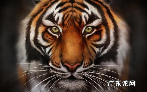 真花和假花的含义 画中的花风水学上是假花吗