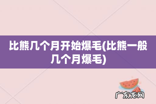 比熊一般几个月爆毛 比熊几个月开始爆毛