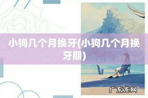 小狗几个月换牙期 小狗几个月换牙