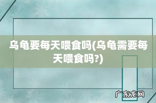 乌龟需要每天喂食吗? 乌龟要每天喂食吗