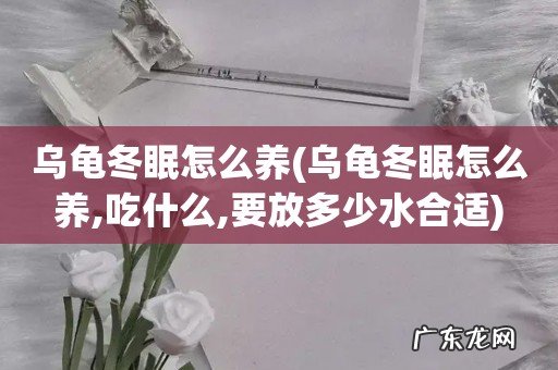 乌龟冬眠怎么养,吃什么,要放多少水合适 乌龟冬眠怎么养