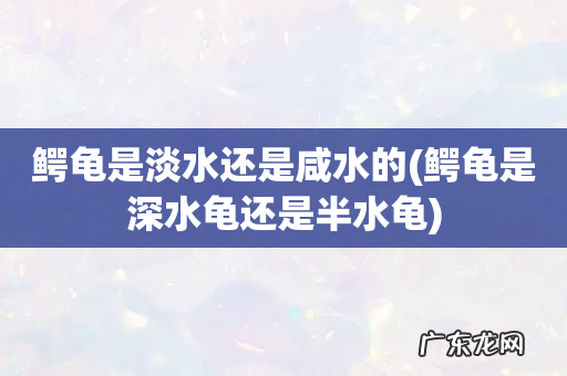 鳄龟是深水龟还是半水龟 鳄龟是淡水还是咸水的