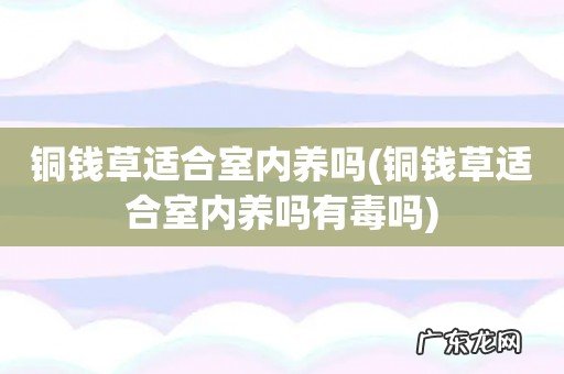 铜钱草适合室内养吗有毒吗 铜钱草适合室内养吗