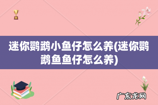 迷你鹦鹉鱼鱼仔怎么养 迷你鹦鹉小鱼仔怎么养