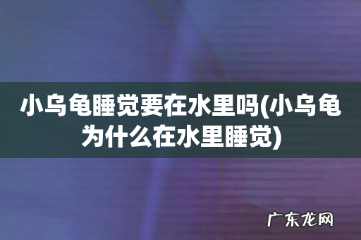 小乌龟为什么在水里睡觉 小乌龟睡觉要在水里吗