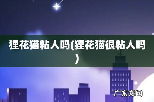 狸花猫很粘人吗 狸花猫粘人吗