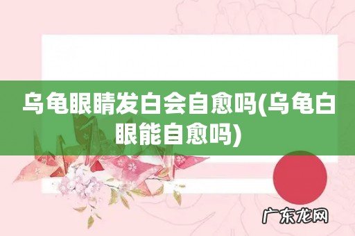 乌龟白眼能自愈吗 乌龟眼睛发白会自愈吗