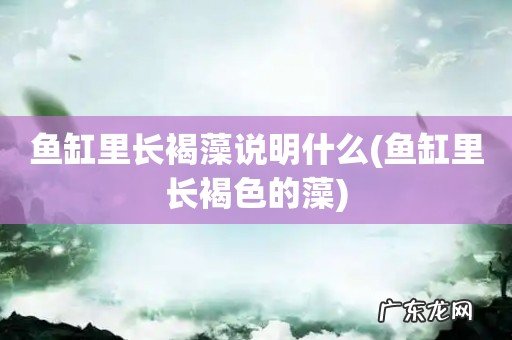 鱼缸里长褐色的藻 鱼缸里长褐藻说明什么