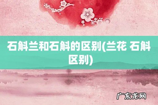 兰花 石斛 区别 石斛兰和石斛的区别