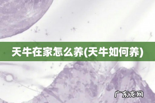 天牛如何养 天牛在家怎么养