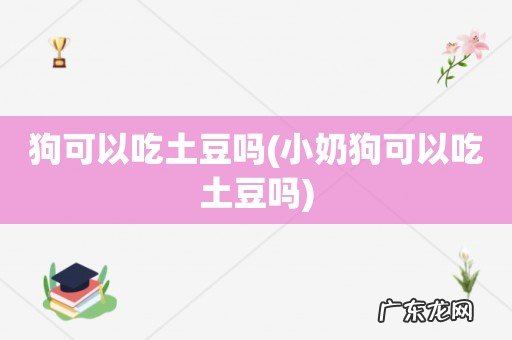小奶狗可以吃土豆吗 狗可以吃土豆吗