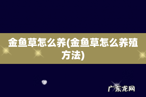 金鱼草怎么养殖方法 金鱼草怎么养