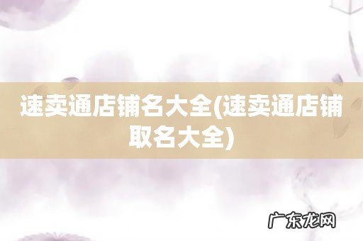 速卖通店铺取名大全 速卖通店铺名大全