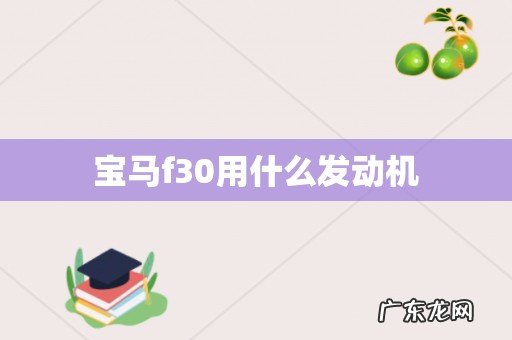 宝马f30用什么发动机