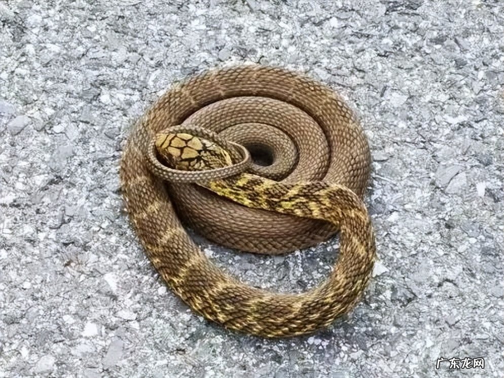 江阴定山风景区规划 江阴定山风景区