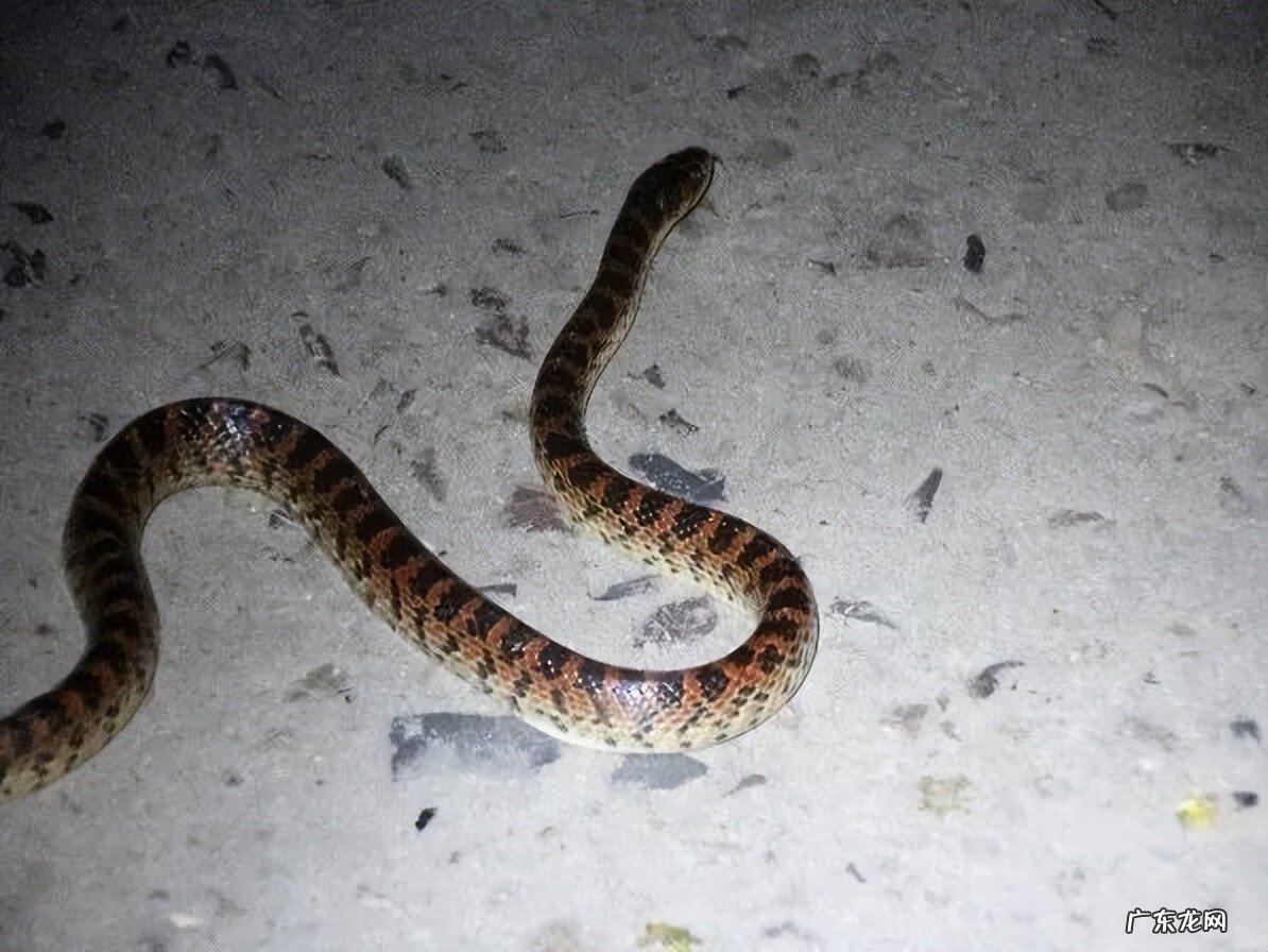 江阴定山风景区规划 江阴定山风景区