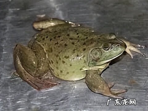 江阴定山风景区规划 江阴定山风景区