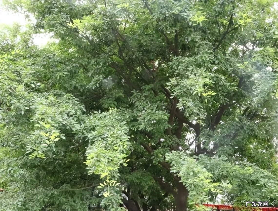 江阴定山风景区规划 江阴定山风景区