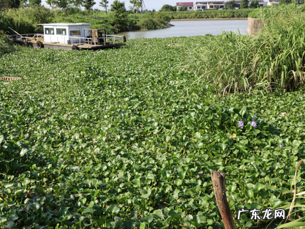 江阴定山风景区规划 江阴定山风景区