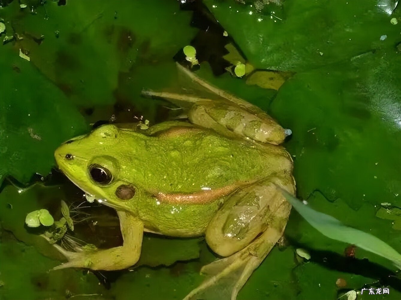 江阴定山风景区规划 江阴定山风景区