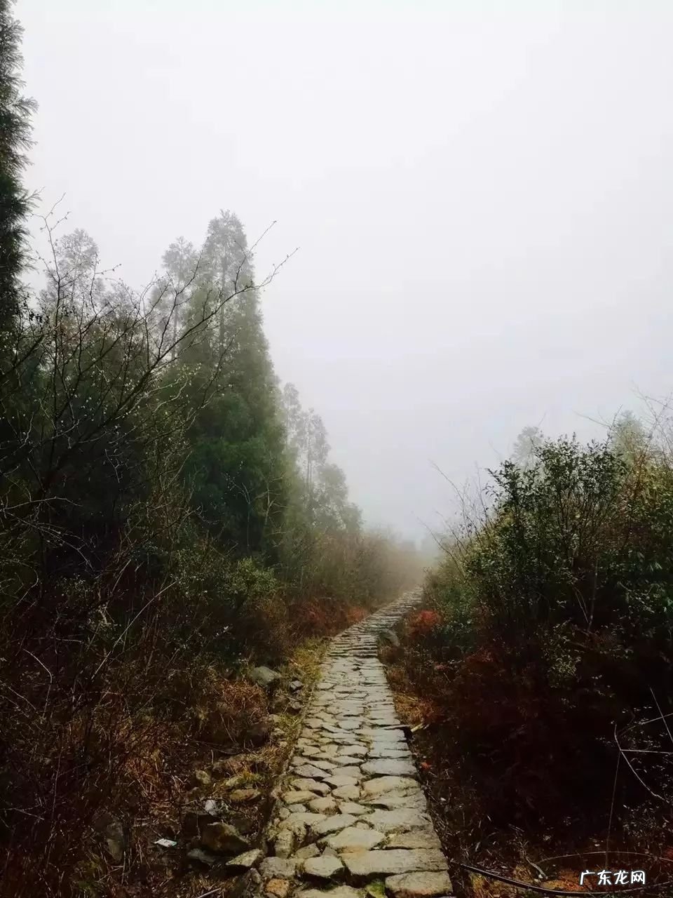 为什么房子里面有镇宅石 彩溪石可以做风水镇宅的吗