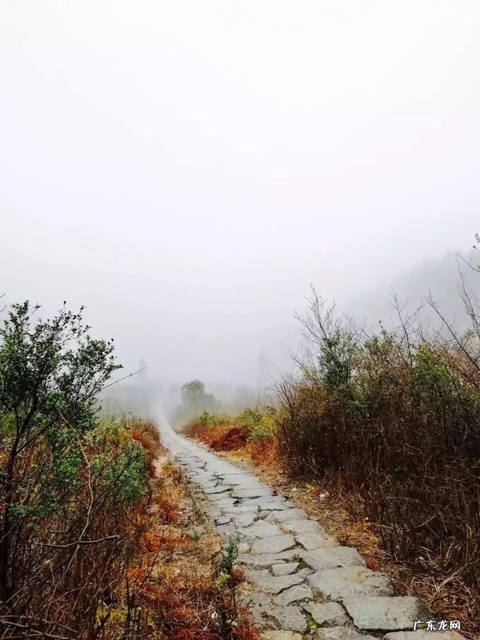 为什么房子里面有镇宅石 彩溪石可以做风水镇宅的吗