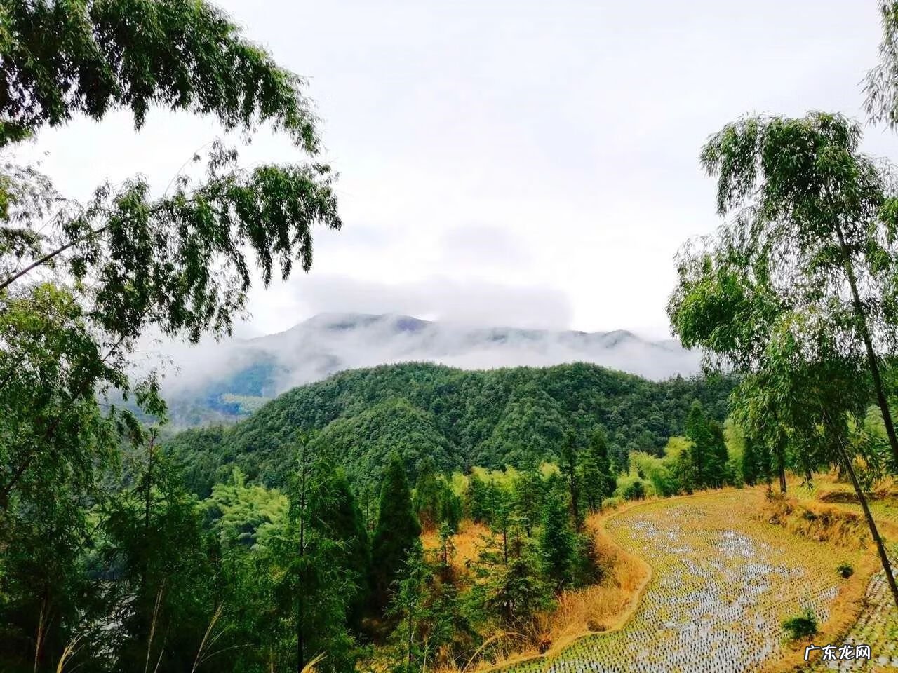 为什么房子里面有镇宅石 彩溪石可以做风水镇宅的吗