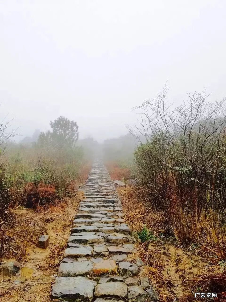 为什么房子里面有镇宅石 彩溪石可以做风水镇宅的吗