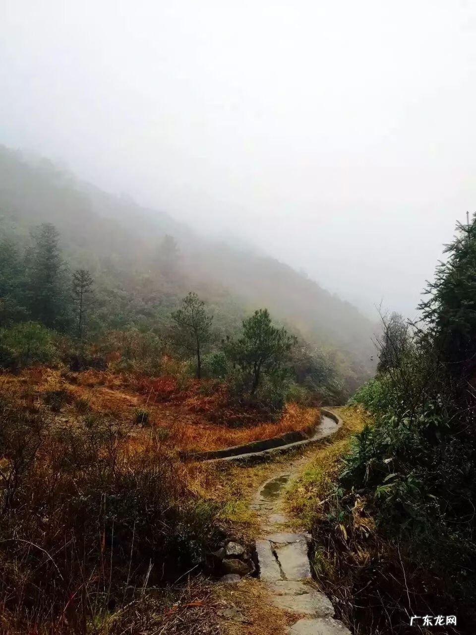 为什么房子里面有镇宅石 彩溪石可以做风水镇宅的吗